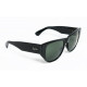 Ray Ban CABALLERO Bausch & Lomb details