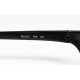 Ray Ban RB 2031 PS9 601 arm