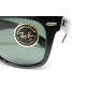 Ray Ban WAYFARER I L2009 B&L original vintage G-15 lenses