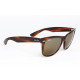 Ray Ban WAYFARER II Flash Mirror B&L details